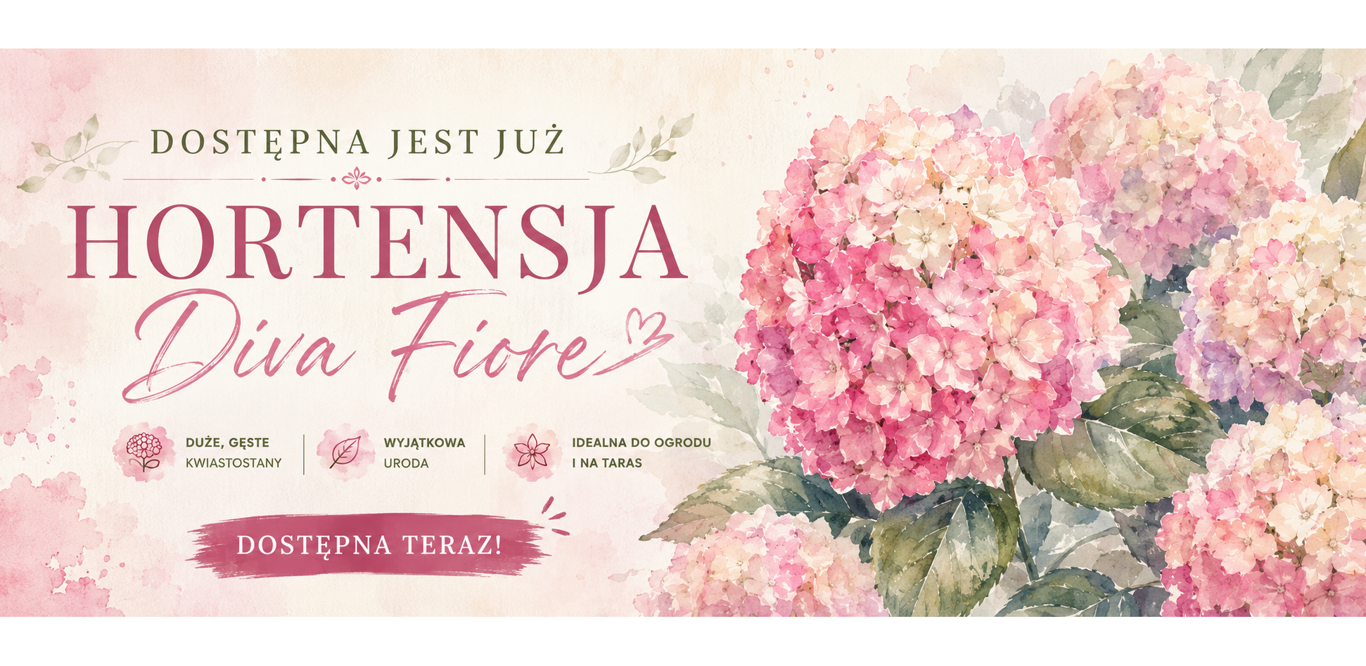 Krzewy liściaste
